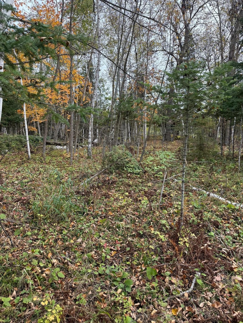 TBD Minerva Lake Rd, Shevlin, MN 56676