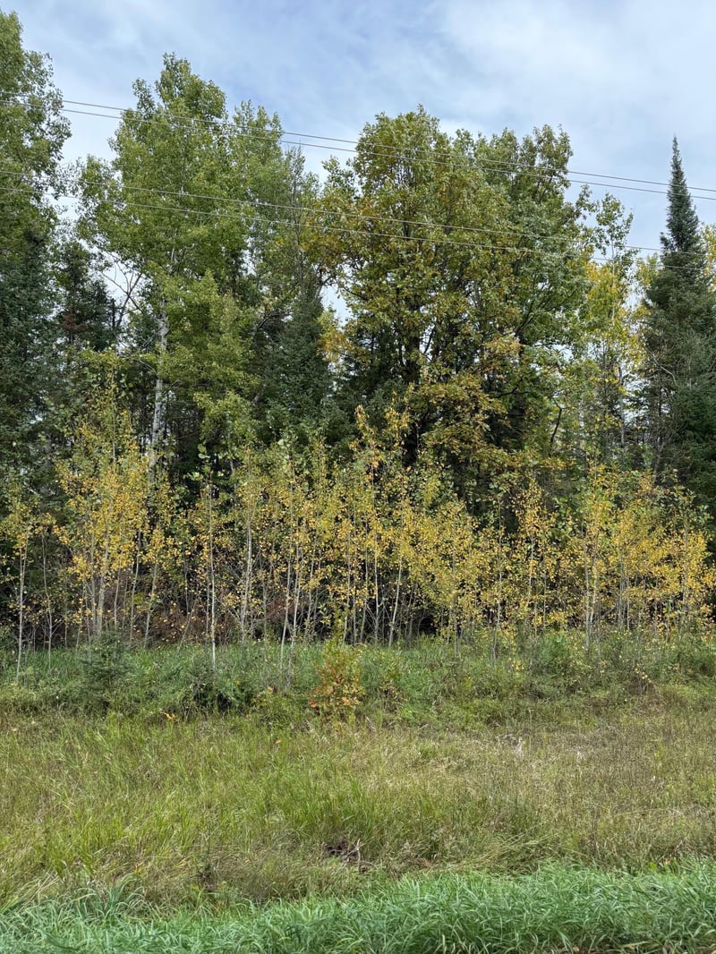 TBD Minerva Lake Rd, Shevlin, MN 56676