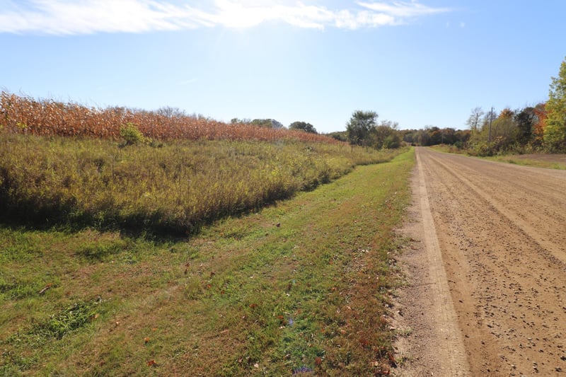 TBD Dunlin Rd, Burtrum, MN 56318