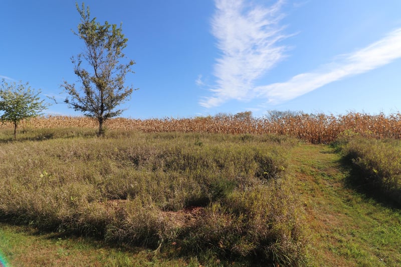 TBD Dunlin Rd, Burtrum, MN 56318