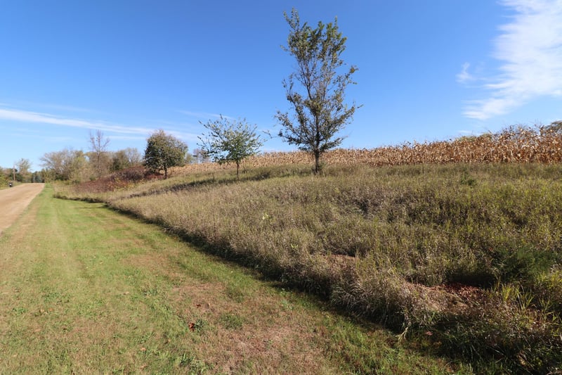 TBD Dunlin Rd, Burtrum, MN 56318