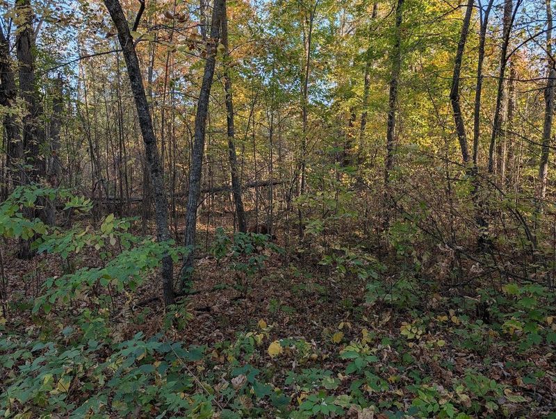 TBD Long Point Pl, Mcgregor, MN 55760