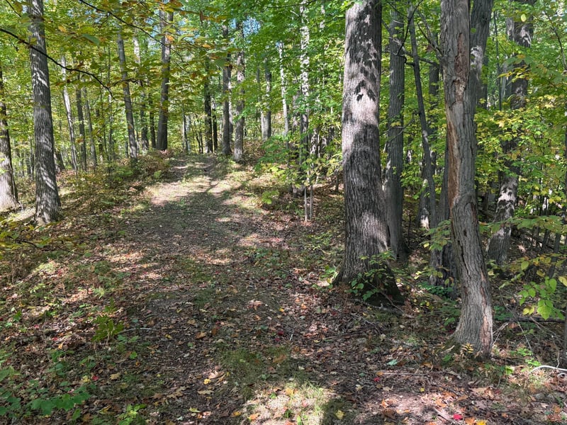 TBD2 Deep Lake Rd, Sarona, WI 54870
