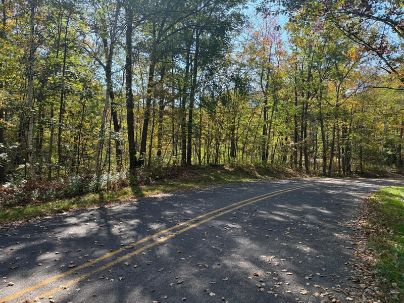 TBD2 Deep Lake Rd, Sarona, WI 54870