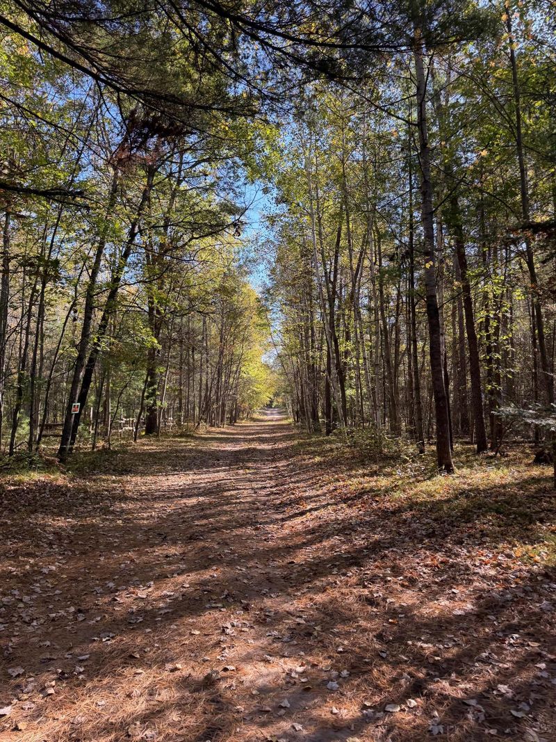 7041 Mar Lee Rd, Webster, WI 54893