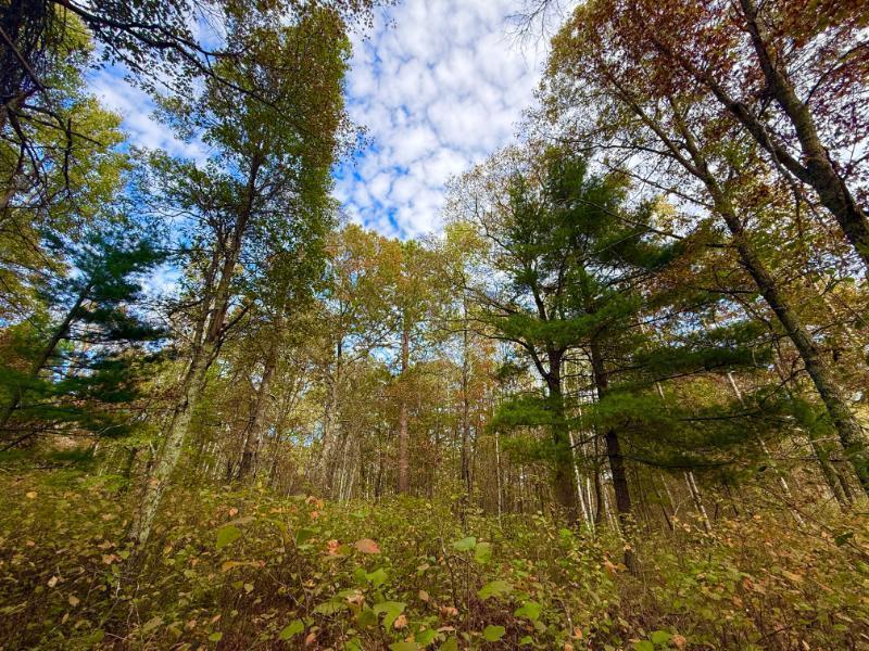 0000 Sunset Valley Rd, Nisswa, MN 56468