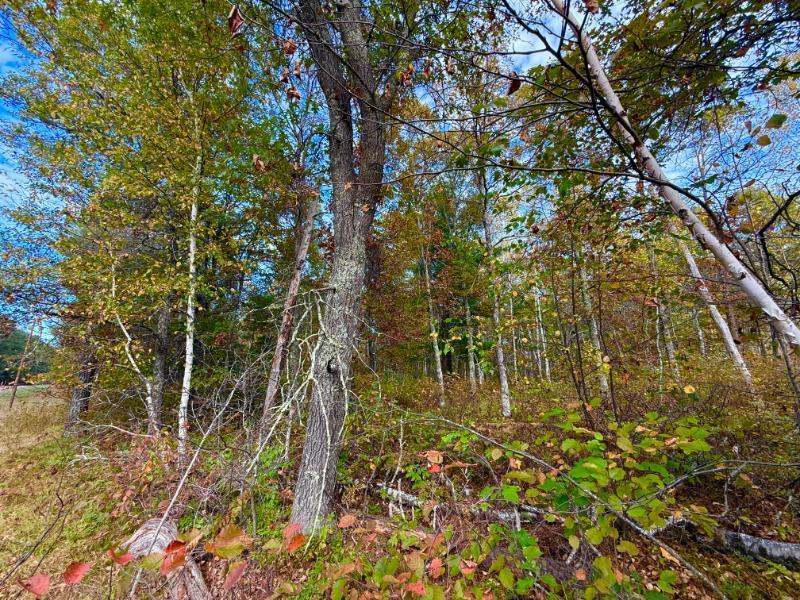 0000 Sunset Valley Rd, Nisswa, MN 56468
