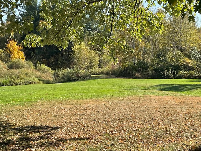 56694 Williams Ln, Sandstone, MN 55072