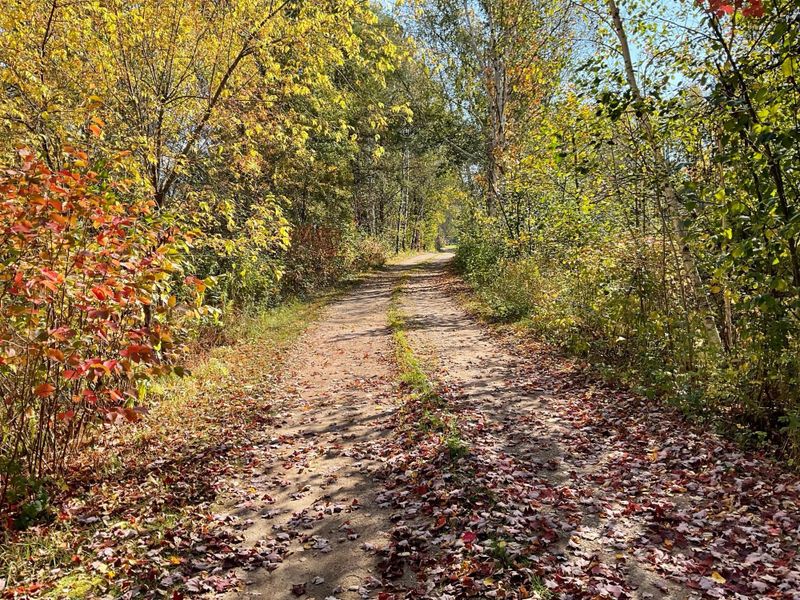 56694 Williams Ln, Sandstone, MN 55072