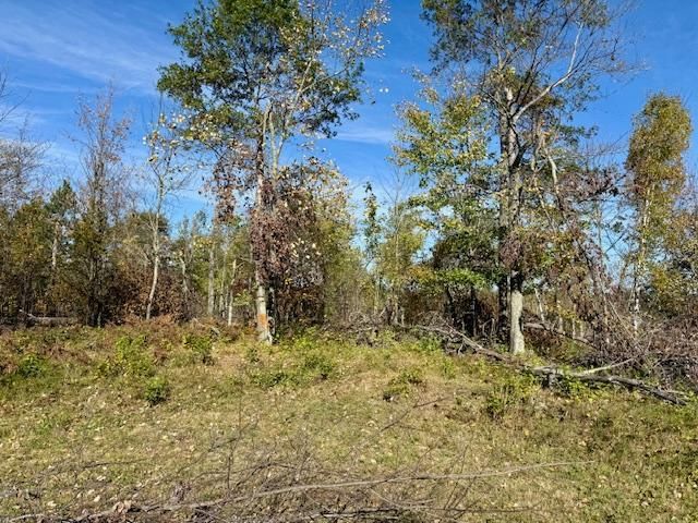 L1B3 Sherman Dr NE, Bemidji, MN 56601