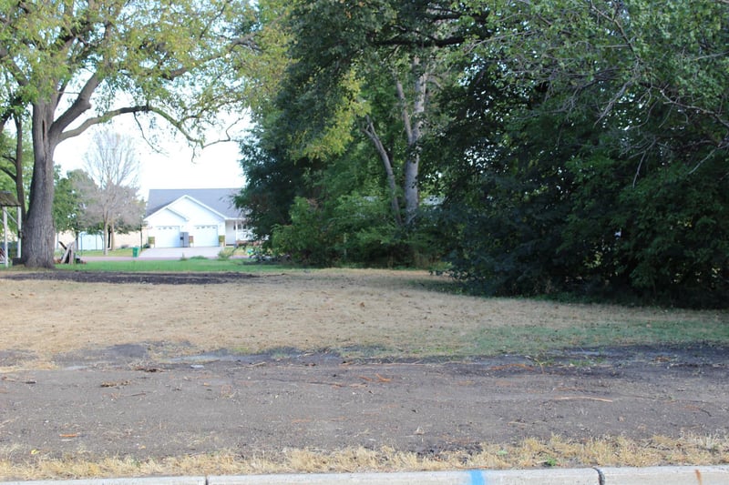 341 Apple St E, Trimont, MN 56176