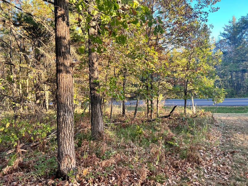 0 Steamboat Loop, Walker, MN 56484