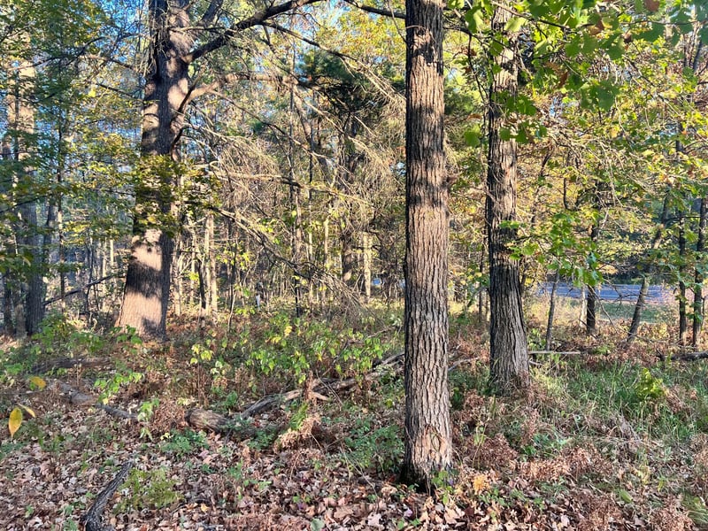 0 Steamboat Loop, Walker, MN 56484