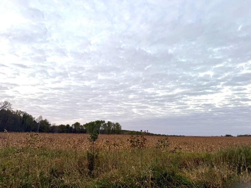 1xxx Apron Rd, Randall, MN 56475