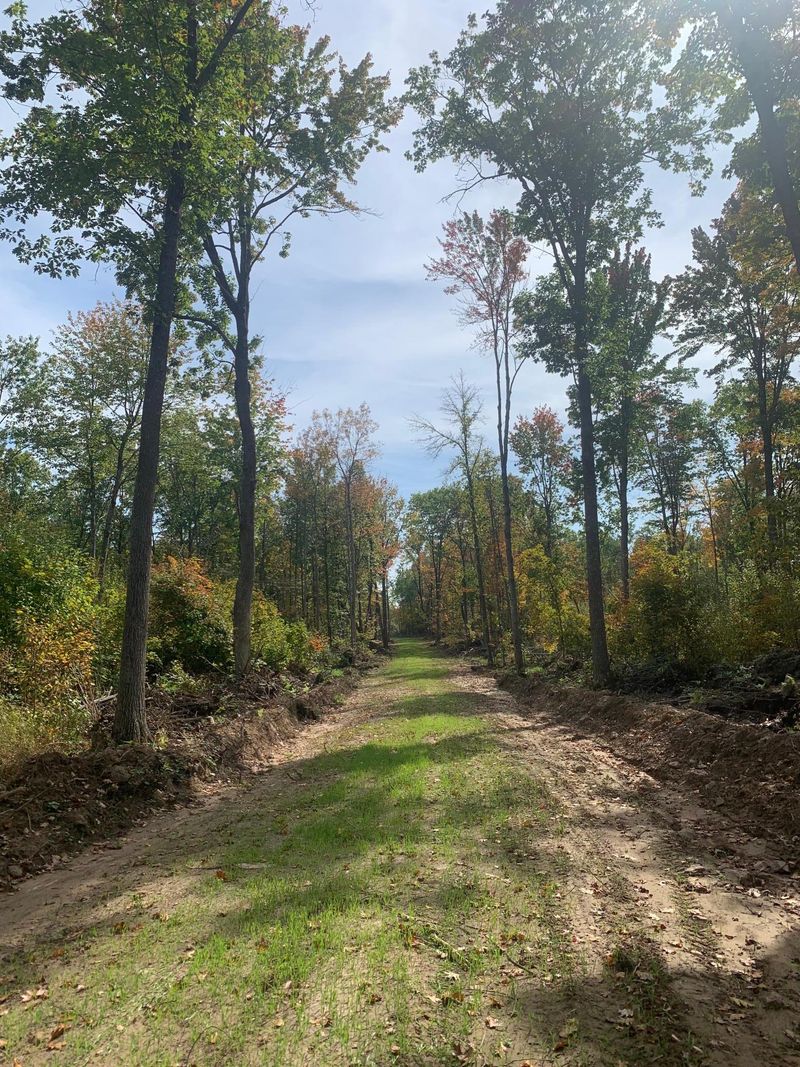 TBD County Road T 4, Dairyland, WI 54830