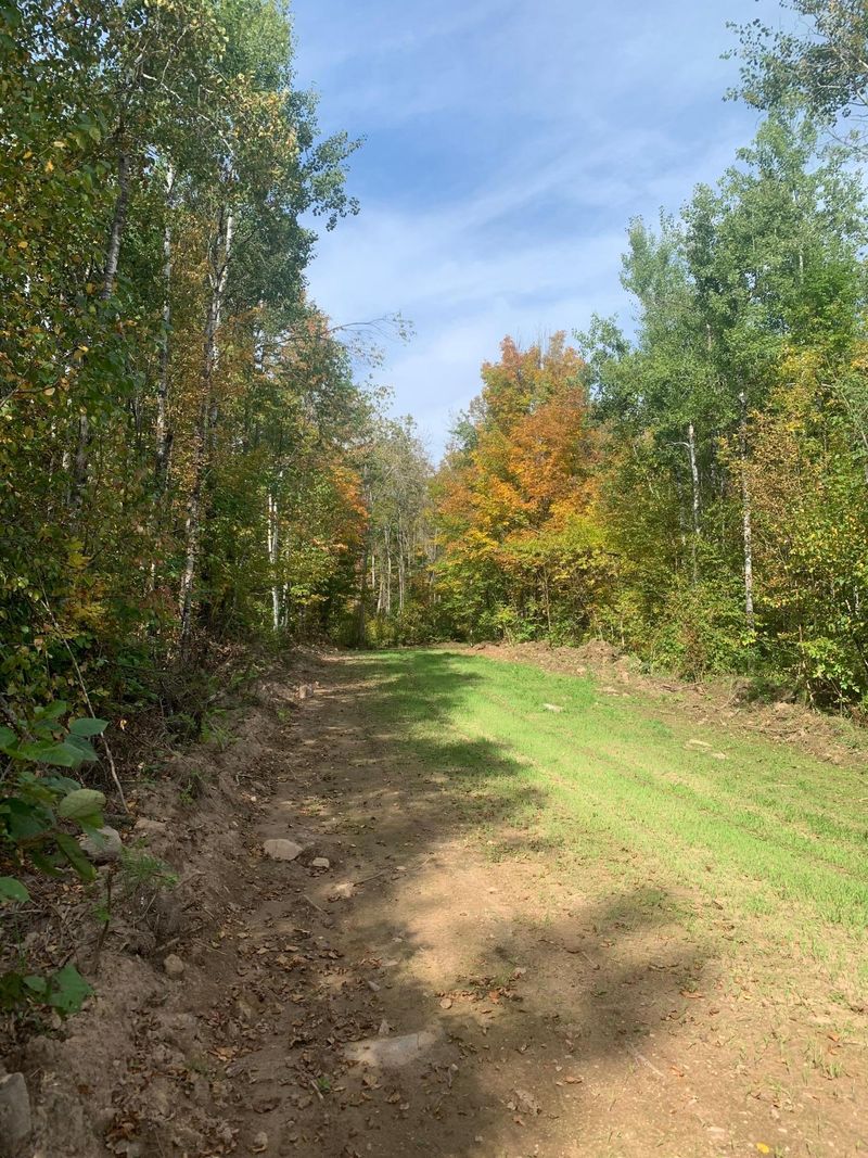 TBD County Road T 3, Dairyland, WI 54830