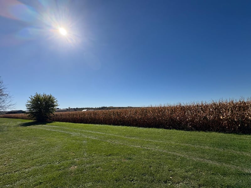 135 5th Ave NW, Elgin, MN 55932