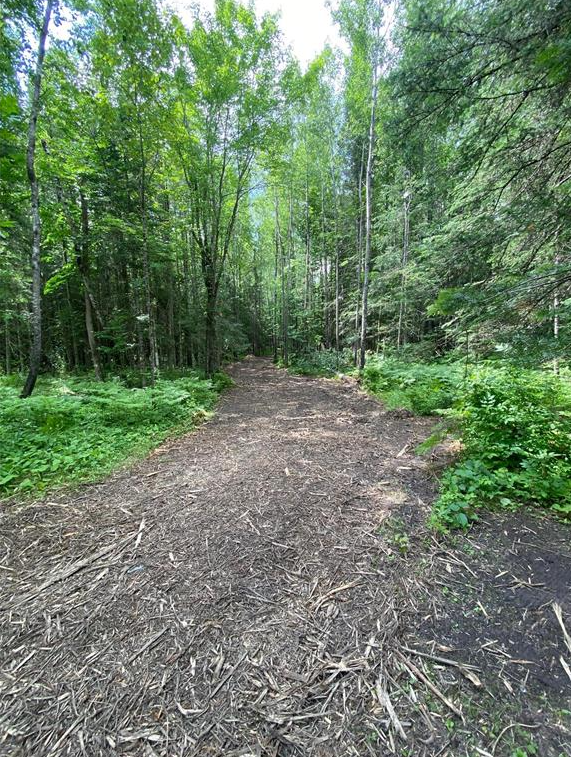 Parcel A County Road 35, Deer River, MN 56636