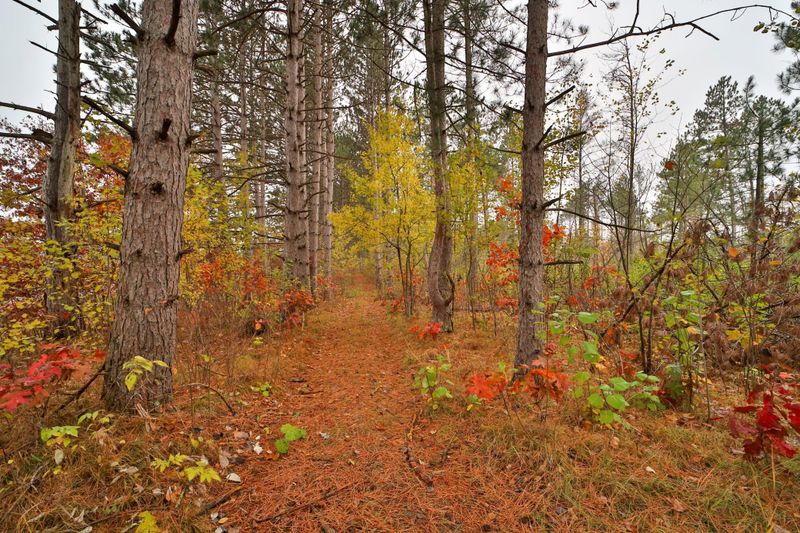 8652 Cook Rd, Brainerd, MN 56401