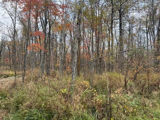 81091 Denham Rd, Willow River, MN 55795