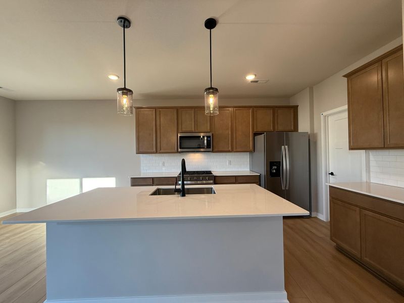 15021 Athenry Bay, Rosemount, MN 55068