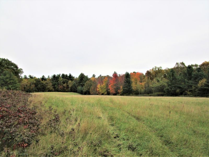 Parcel 6 340th Ave, Frederic, WI 54837