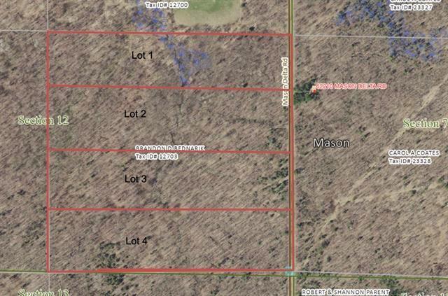 Lot 1 Mason Delta Rd, Delta, WI 54856