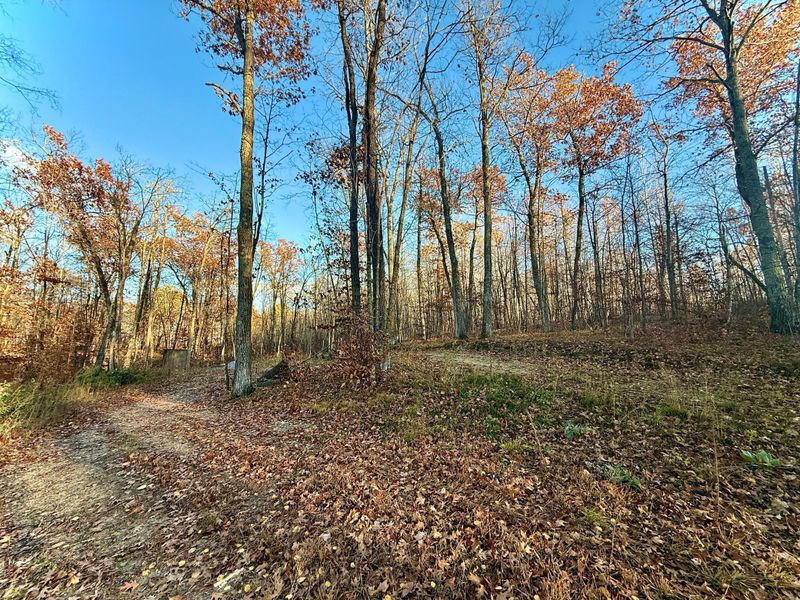 TBD Turtle Ln NW, Walker, MN 56484