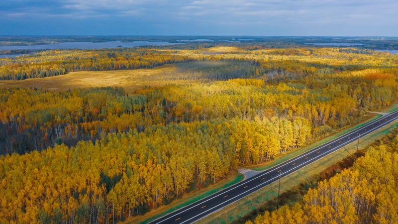 Parcel 10 TBD Hwy 115, Tower, MN 55790