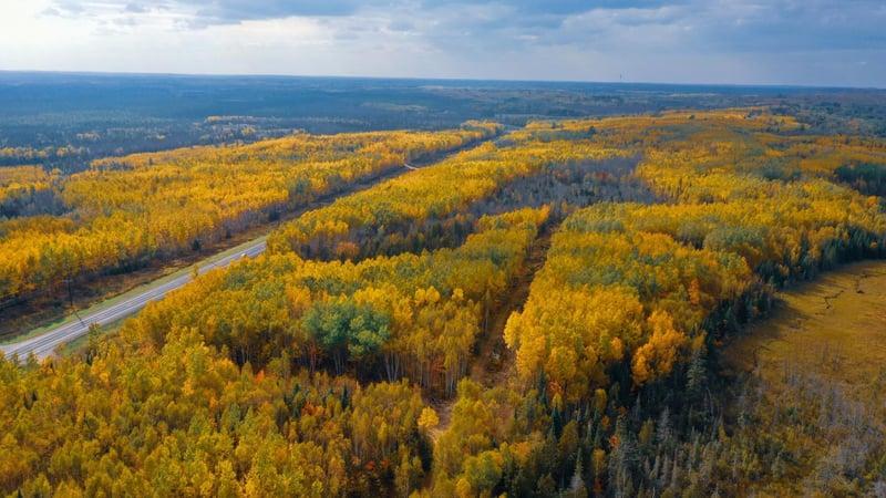Parcel 10 TBD Hwy 115, Tower, MN 55790