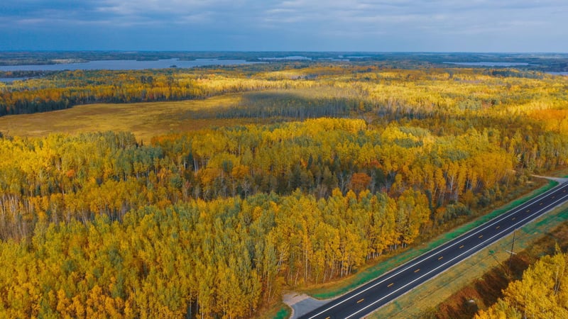 Parcel 10 TBD Hwy 115, Tower, MN 55790