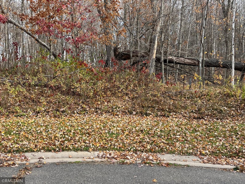 LOT 16 Wilderness Hills Ln, Luck, WI 54853