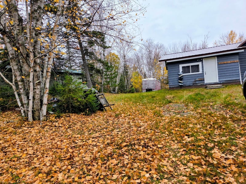 54417 NE Sheephead Dr NE, Waskish, MN 56685