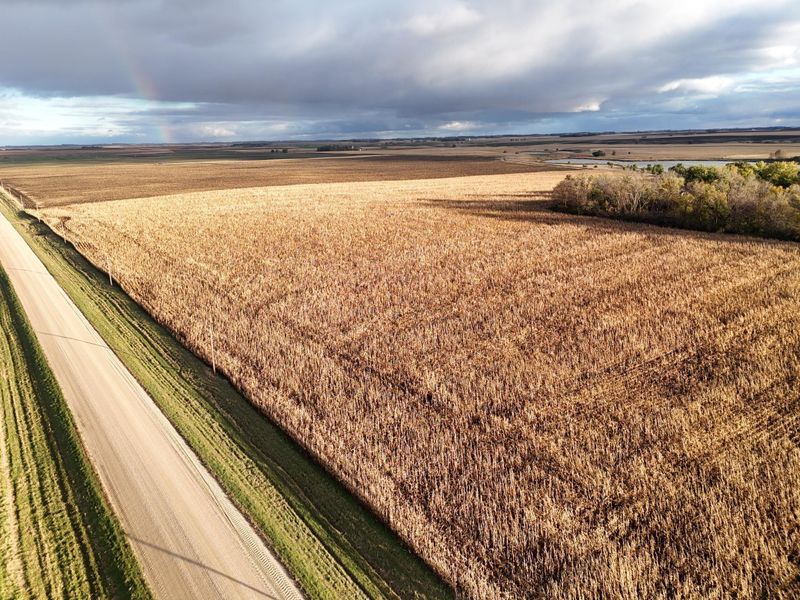 XXXXX County Rd 4, Alberta, MN 56207