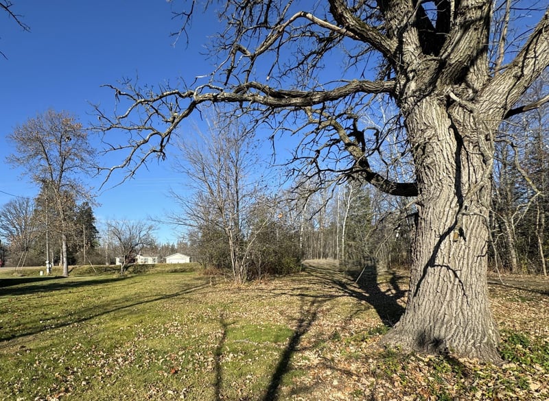 TBD 302xx 480th St, Palisade, MN 56469