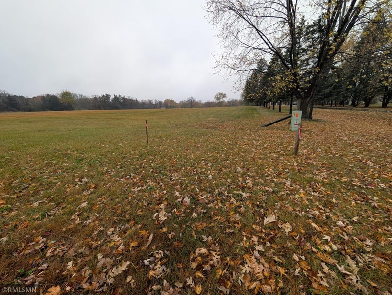 T B D S Hawthorn St, Royalton, MN 56373