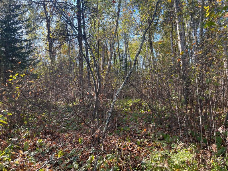 TBD-2 Oak Leaf Rd, Kerrick, MN 55756