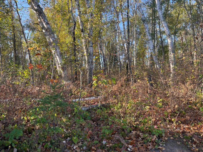 TBD-2 Oak Leaf Rd, Kerrick, MN 55756