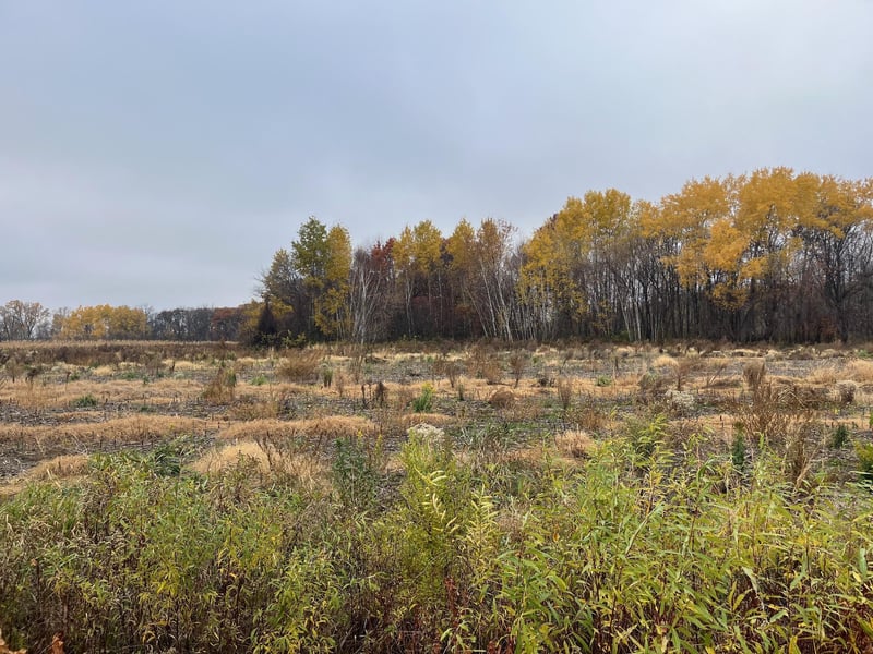 0 Brunswick Rd, Stanchfield, MN 55080