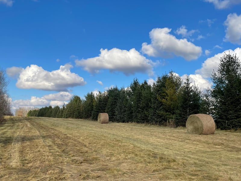 TBD 132, Kettle River, MN 55757