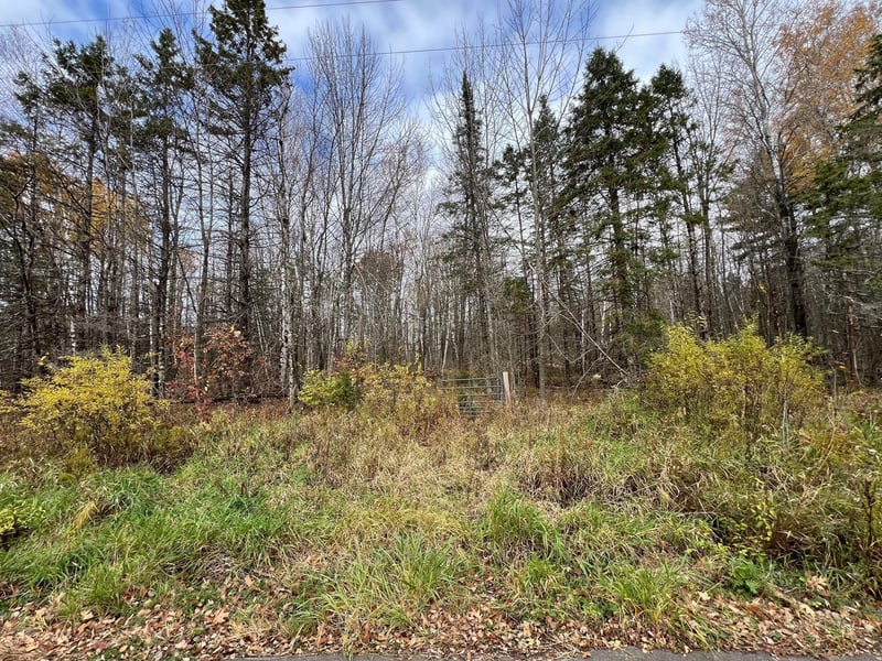 XXX Deer Lake Rd, Exeland, WI 54835