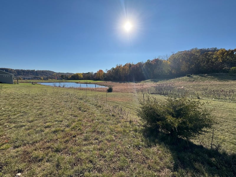 131 Emerald Lake Dr, Lake City, MN 55041