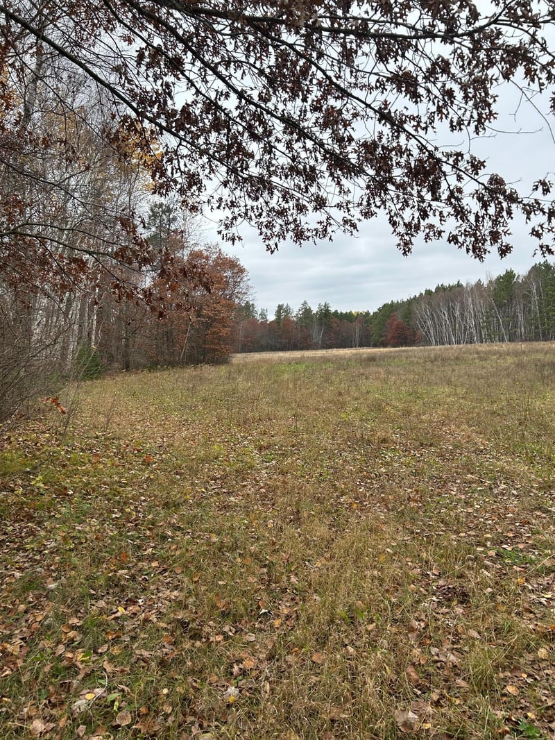 160 AC Basswood Lake Rd, Ponsford, MN 56575