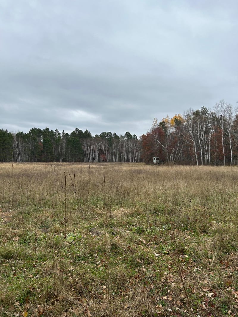 160 AC Basswood Lake Rd, Ponsford, MN 56575