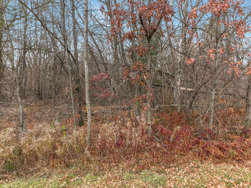 xxx 29 1/2 St, Chetek, WI 54728