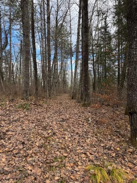TBD County Road 1, Emily, MN 56447