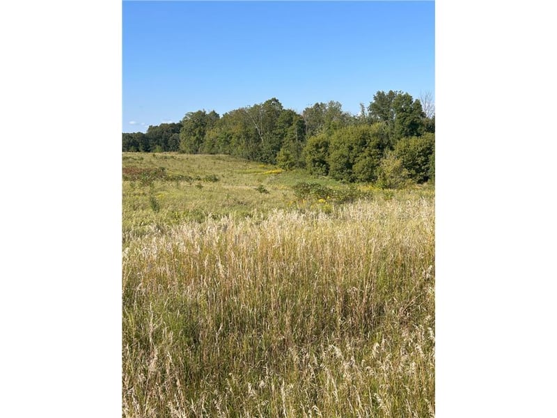 Lot 2 166th St, Dresser, WI 54009