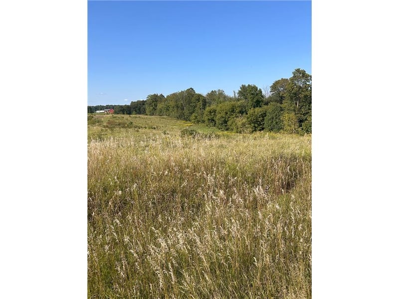 Lot 2 166th St, Dresser, WI 54009
