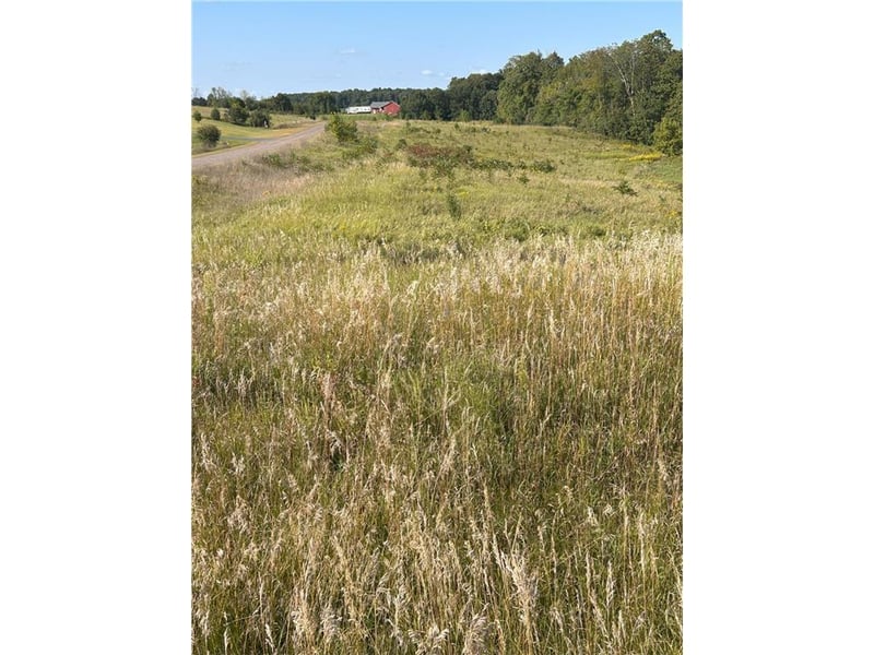 Lot 2 166th St, Dresser, WI 54009