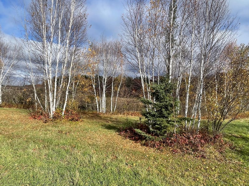 TBD Loon Lake Rd, Crosby, MN 56441